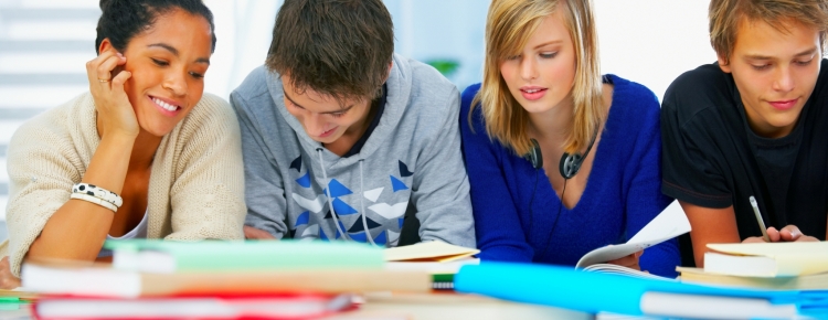 Preparation for EGE and internation exams DELF and DALF in French from Skype-Language
