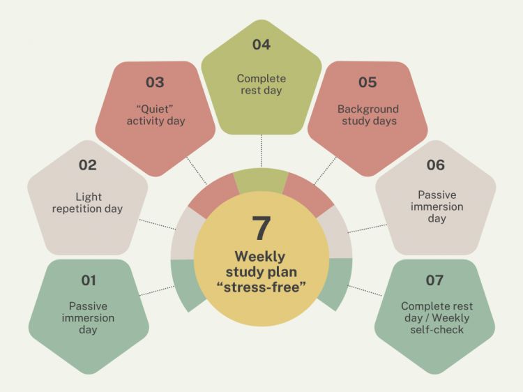 Weekly study plan